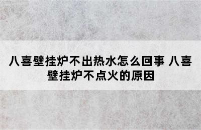 八喜壁挂炉不出热水怎么回事 八喜壁挂炉不点火的原因